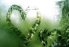 开云体育APP下载-日本队横扫泰国队，陈雨菲扛起全队