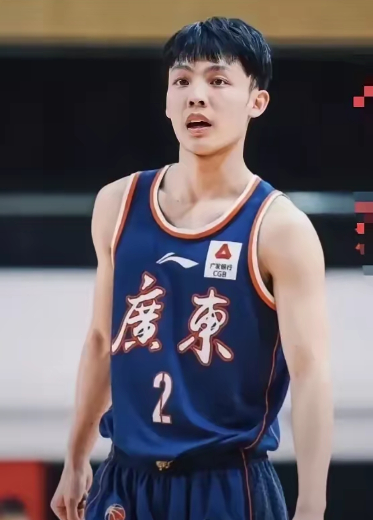 包含浙江篮球队势如破竹，豪取八连胜的词条
