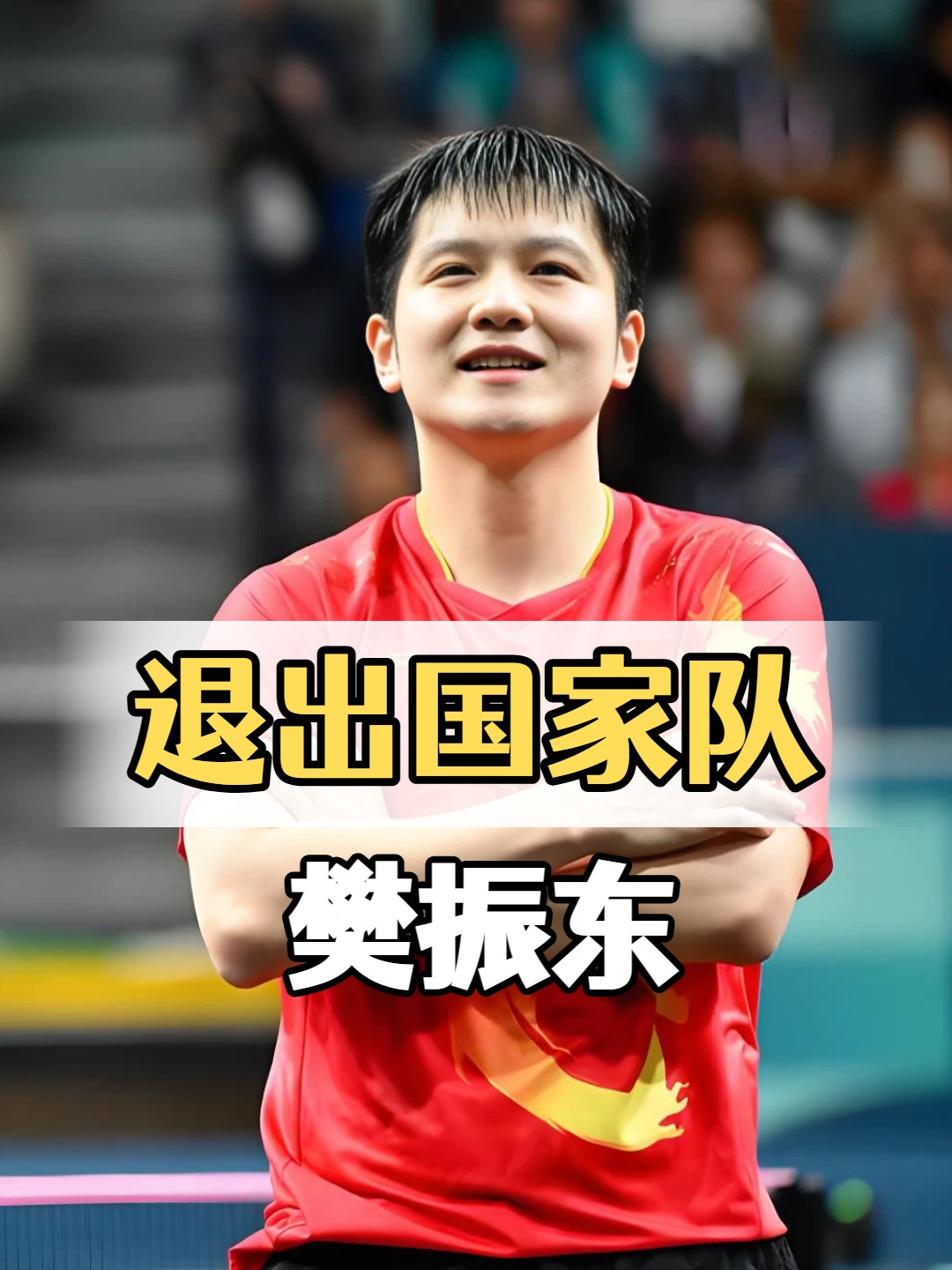 波兰队翻盘德国队,樊振东点燃赛场 波兰队翻盘德国队,樊振东点燃赛场