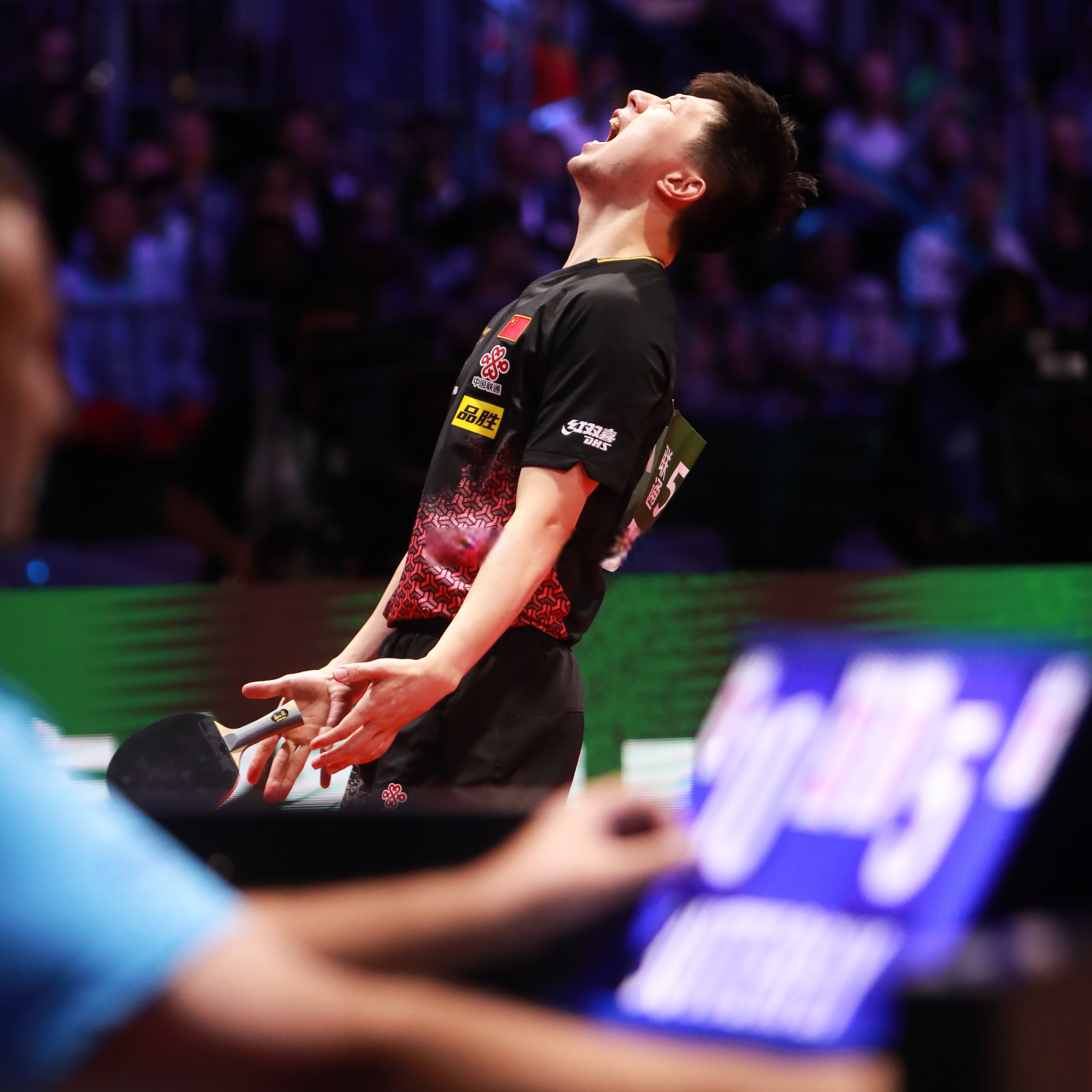 包含日本队绝杀葡萄牙队，马龙状态火热的词条